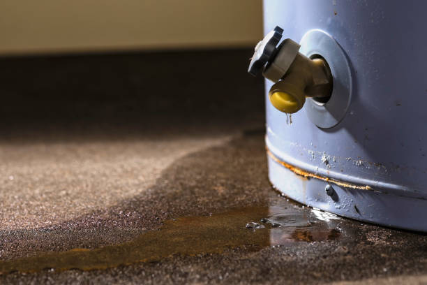 Sewage cleanup and water damage restoration in Fanwood, NJ