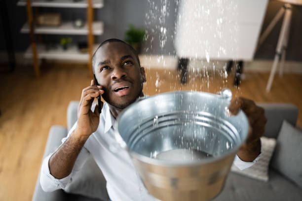 Best Water damage restoration company  in Fanwood, NJ