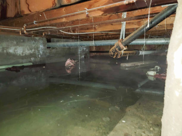 Best Residential water damage restoration  in Fanwood, NJ