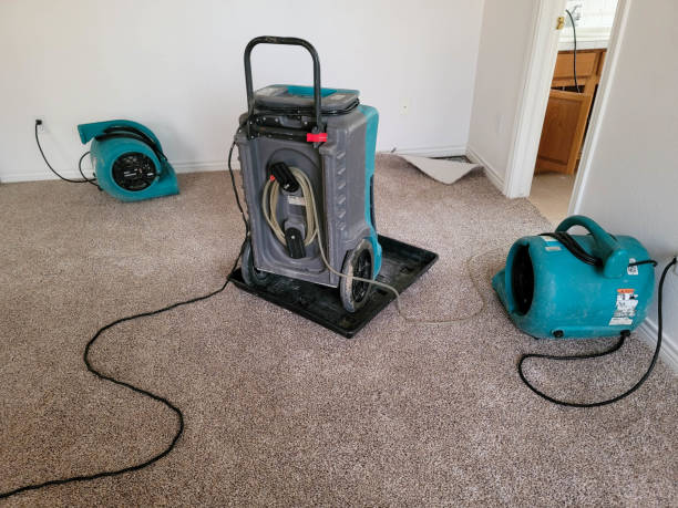 Best Fire Damage Restoration  in Fanwood, NJ