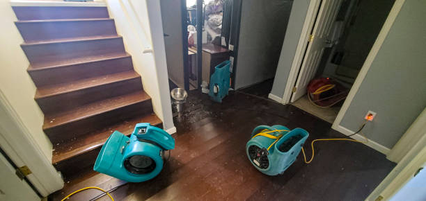 Best 24/7 water damage repair  in Fanwood, NJ