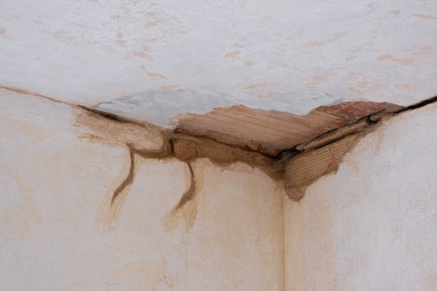 Best Water damage restoration near me  in Fanwood, NJ