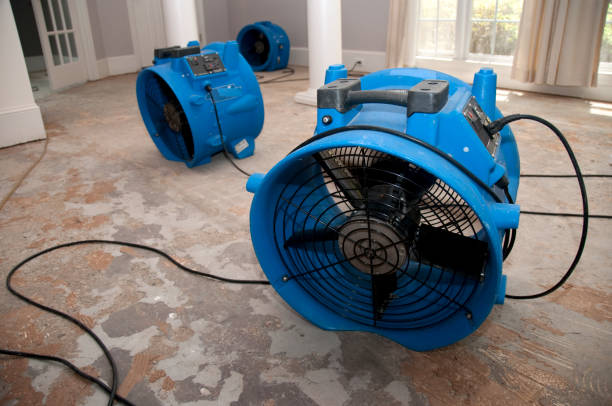 Best Flood damage cleanup  in Fanwood, NJ