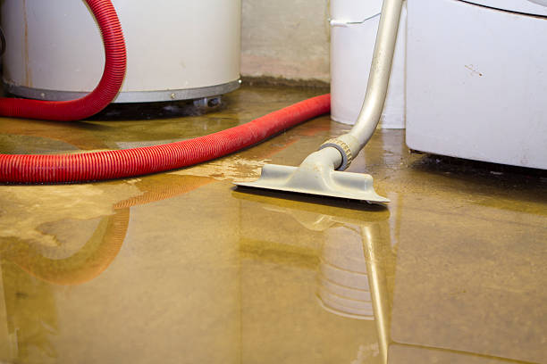 Best Emergency water damage restoration  in Fanwood, NJ