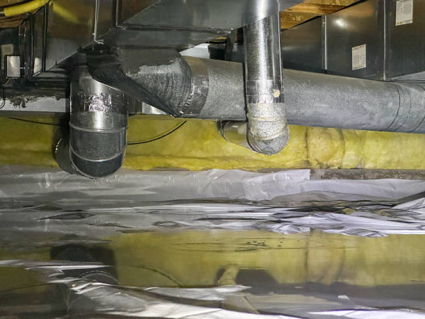 Best Flood restoration services  in Fanwood, NJ