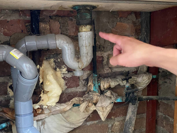 Best Sewage cleanup and water damage restoration  in Fanwood, NJ
