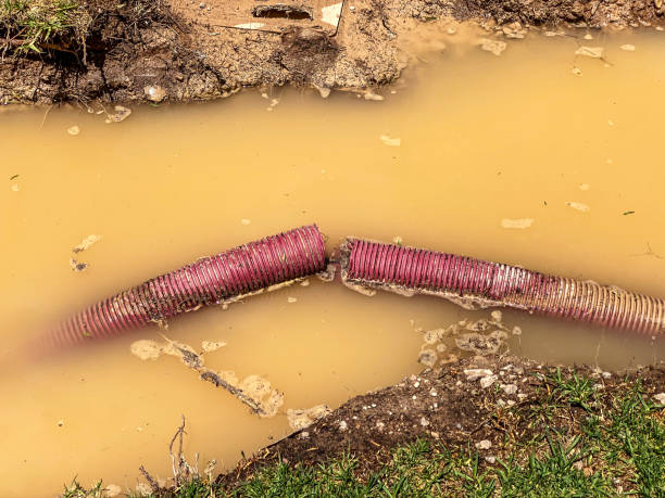 Best 24/7 water damage repair  in Fanwood, NJ