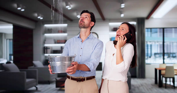 Best Water damage restoration near me  in Fanwood, NJ