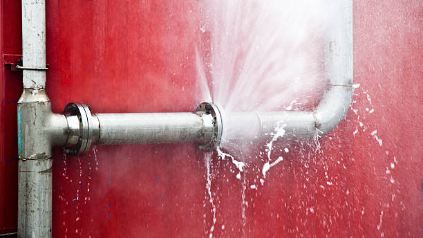 Best 24-hour water damage restoration  in Fanwood, NJ